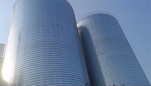 特克斯2座混凝土高架卷板仓